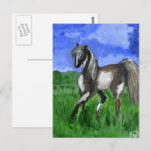 Carte Postale L'art du cheval de Dreamer (Devant / Derrière)