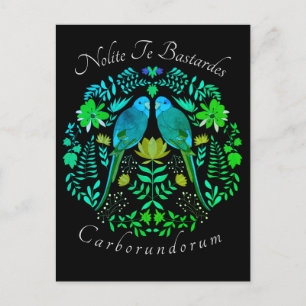 Carte Postale L'art féministe Nolite Te Bastardes Carborundorum 