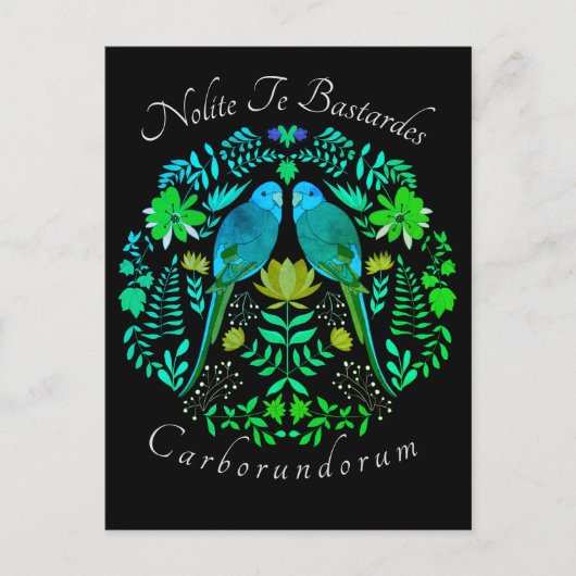 Carte Postale L'art féministe Nolite Te Bastardes Carborundorum (Devant)