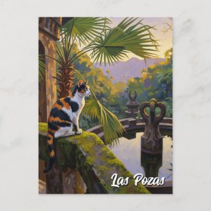 Carte Postale Las Pozas Mexique Travel