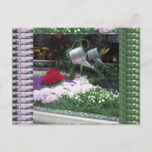 Carte Postale Las Vegas Butterfly Park LadyBugs