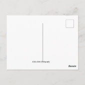 Carte postale Las Vegas Skyline (Dos)