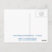 CARTE POSTALE LAS VEGAS STRIP #6 (Dos)