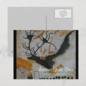 Carte Postale Lascaux Giant Deer (Devant / Derrière)