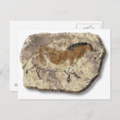 Carte Postale Lascaux Pierre de cheval (Devant / Derrière)
