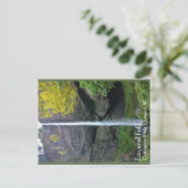 Carte Postale Latourell Falls (Debout devant)