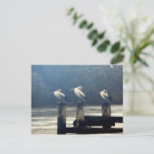 Carte Postale l'attente (Debout devant)