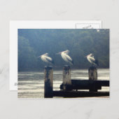 Carte Postale l'attente (Devant / Derrière)