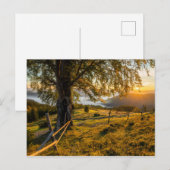 Carte Postale L'aube triste dans une forêt (Devant / Derrière)