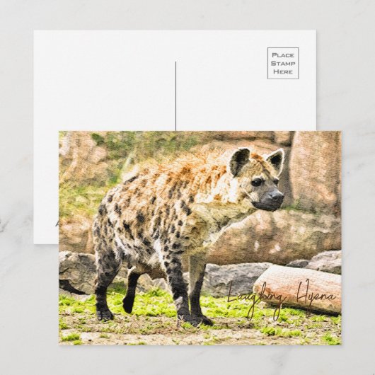 Carte Postale Laughing Hyena (Devant / Derrière)