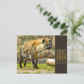 Carte Postale Laughing hyena [Postcard] (Debout devant)