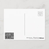 Carte Postale Laughing hyena [Postcard] (Dos)