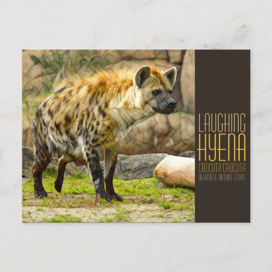 Carte Postale Laughing hyena [Postcard] (Devant)