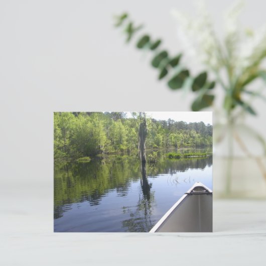 CARTE POSTALE "LAURA S. WALKER STATE PARK" (Debout devant)