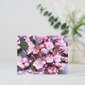 Carte Postale Laurel du Connecticut (Debout devant)