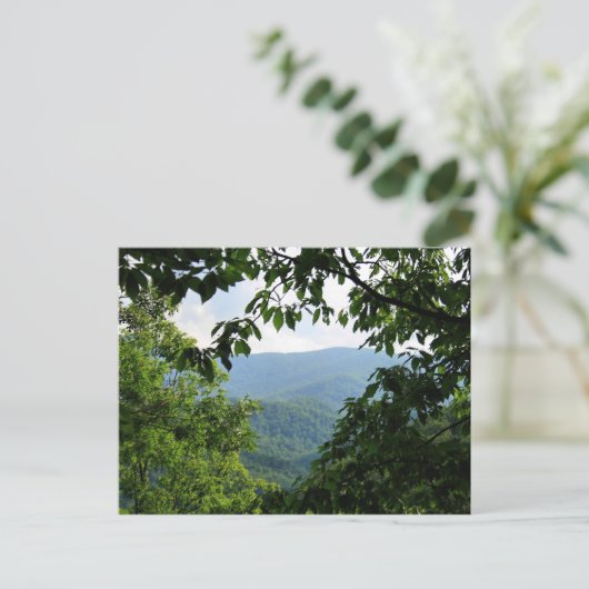 Carte Postale Laurel Falls (Debout devant)