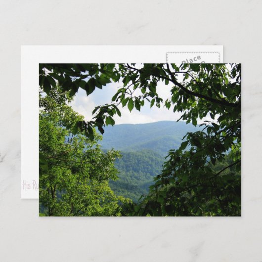 Carte Postale Laurel Falls (Devant / Derrière)