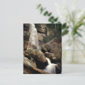 Carte Postale Laurel Falls (Debout devant)