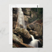 Carte Postale Laurel Falls (Devant / Derrière)