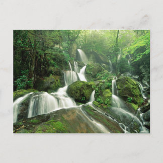 Carte Postale Laurel Falls, Tennessee