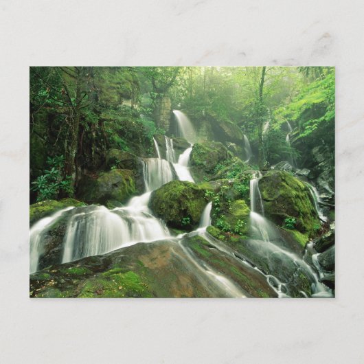 Carte Postale Laurel Falls, Tennessee (Devant)