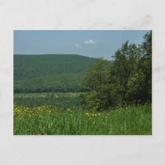 Carte Postale Laurel Highlands Pennsylvania Summer Photography (Devant)