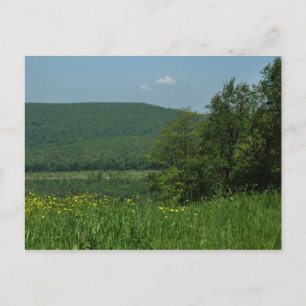Carte Postale Laurel Highlands Pennsylvanie Photographie d'été