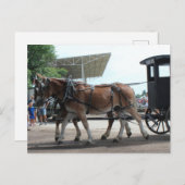 Carte Postale L'autobus tracté par des mulets (Devant / Derrière)