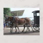 Carte Postale L'autobus tracté par des mulets (Devant)