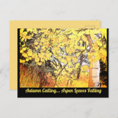 Carte Postale L'automne appelle... Les Feuilles d'Aspen tombent. (Devant / Derrière)