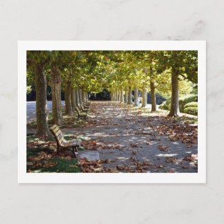 Carte Postale L'automne dans le parc : Tokyo