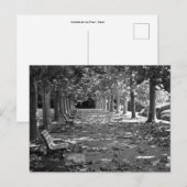 Carte Postale L'automne dans le parc : Tokyo (Devant / Derrière)