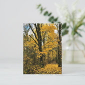 Carte Postale L'automne dans les bois (Debout devant)