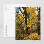 Carte Postale L'automne dans les bois (Devant / Derrière)