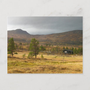 Carte Postale L'automne doré sur un plateau montagneux norvégien