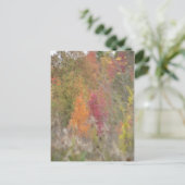Carte postale "L'automne du Pointilliste" (Debout devant)