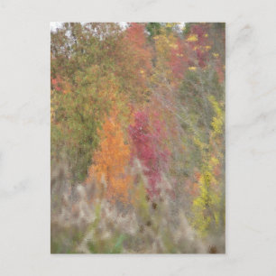 Carte postale "L'automne du Pointilliste"