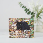 Carte Postale L'automne est ici Black Cat Postcard (Debout devant)