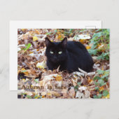 Carte Postale L'automne est ici Black Cat Postcard (Devant / Derrière)