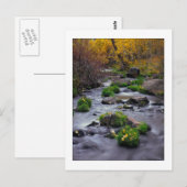 Carte Postale "L'automne sur Mill Creek" (Devant / Derrière)