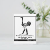 Carte Postale L'autruche ornementale Obséquieuse (Debout devant)