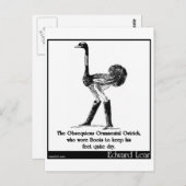 Carte Postale L'autruche ornementale Obséquieuse (Devant / Derrière)