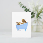 Carte Postale Lavage de chats (Debout devant)