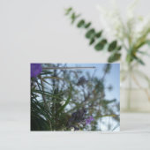 Carte Postale lavande (Debout devant)