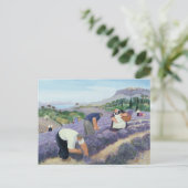 Carte Postale Lavande (Debout devant)
