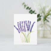 Carte Postale Lavande aquarelle peinture, fleurs violettes (Debout devant)