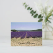 Carte Postale Lavande de Provence (Debout devant)