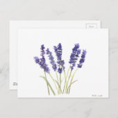 Carte Postale Lavande fleurs lavande française (Devant / Derrière)