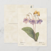 Carte Postale Lavande Gloxinia Vintage illustration botanique (Devant / Derrière)