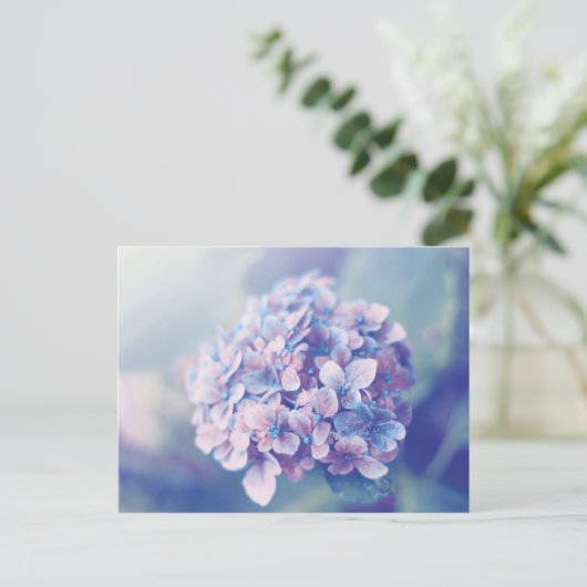 Carte Postale Lavande Hydrangea (Debout devant)